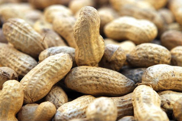 Учёные создали гипоаллергенный арахис